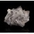 Fluorite Emilio Mine - Asturias M04991